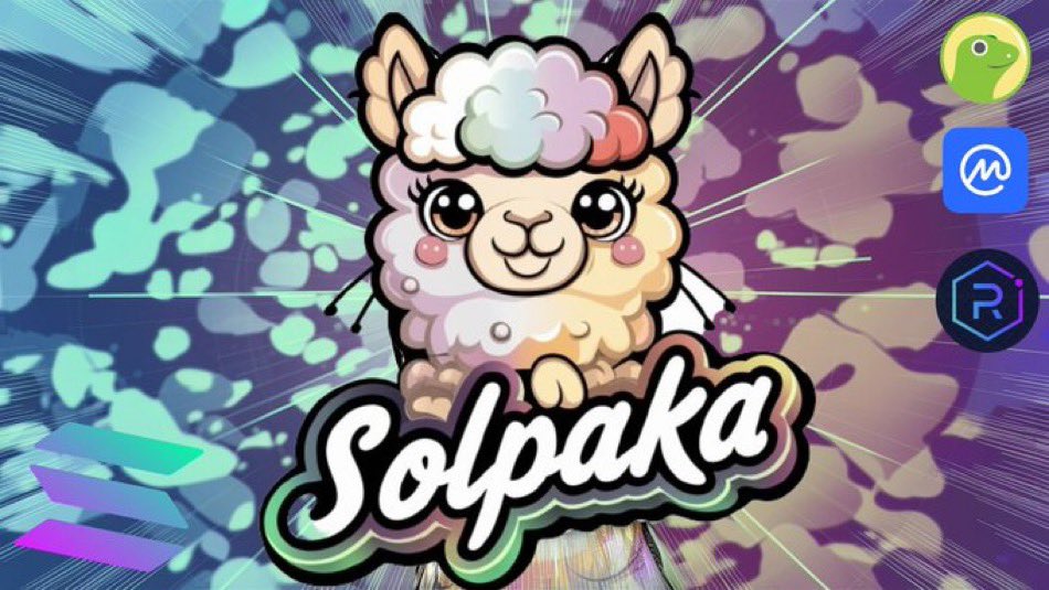 crypto_vkings's tweet photo. @diegomcea SOLPAKA ! 😉💎🚀 @SOLPAKASolana #SOLPAKA https://t.co/mTGeVanyWr