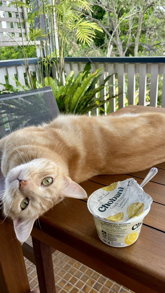 일주일 동안 행복했어 얘들아