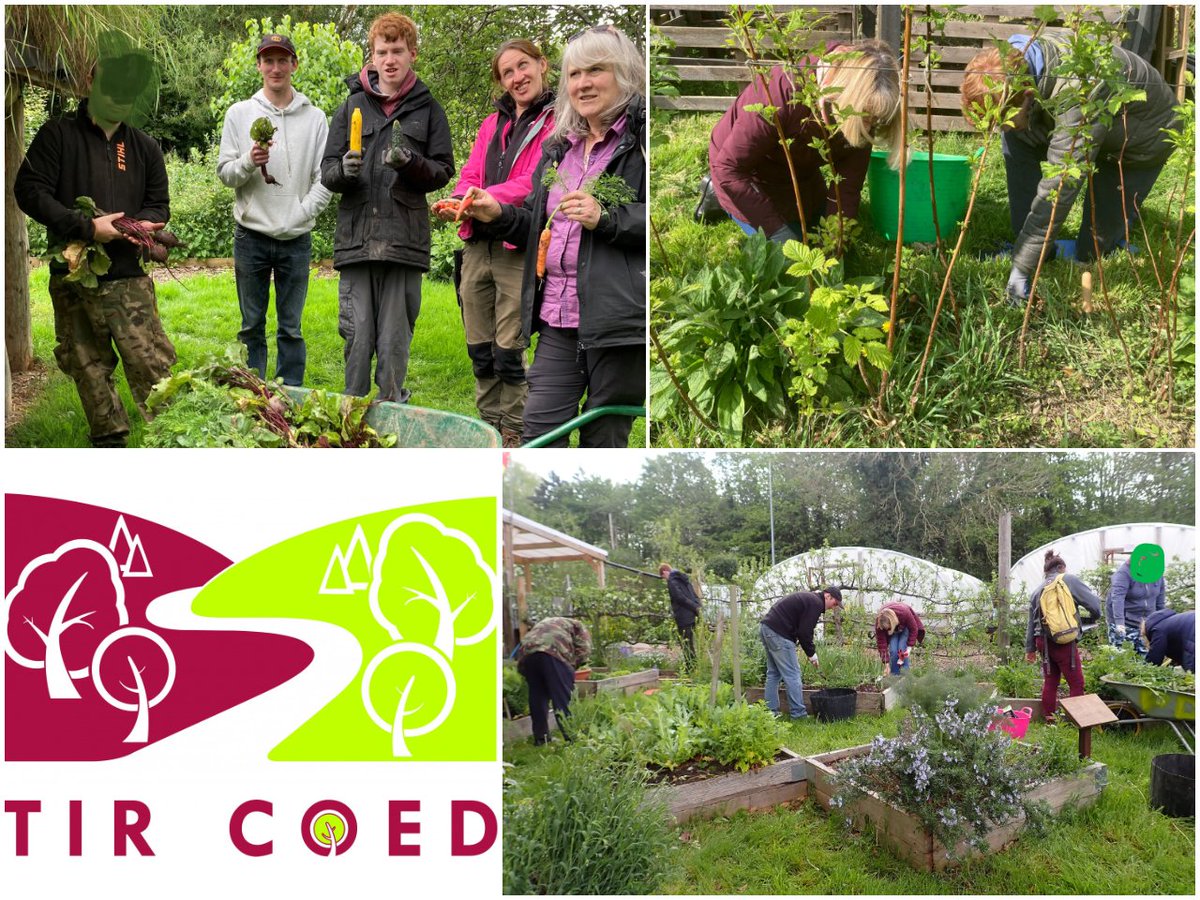 Would you like to get out into Nature & gain a qualification at the same time? Spring into gardening with a new FREE @tir_coed course at Cultivate, Newtown, #Powys. Starts 9 April. Sustainable Horticulture, Level 2 @AgoredCymru accredited. 👉bit.ly/TirCoedApril24👈 #MidWales