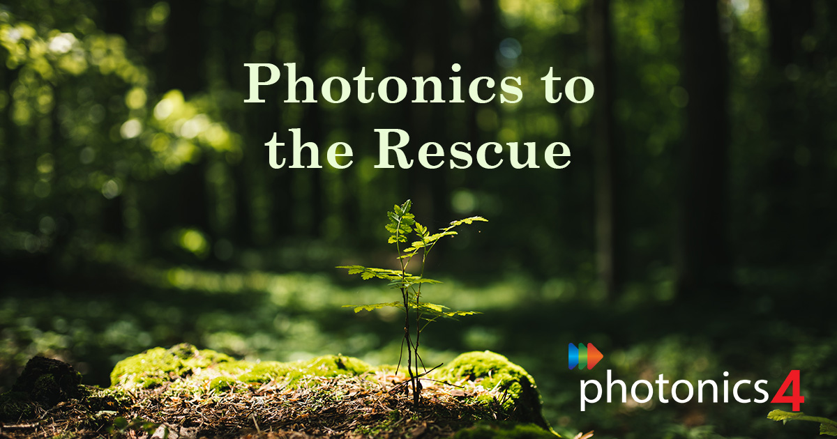 #Photonics is playing a crucial role in saving our forests. From spotting deforestation to detecting fires and monitoring tree health. Learn more in our article: photonics4.com/photonics-for-…
#InternationalDayOfForests #IDOF #ForestRescue