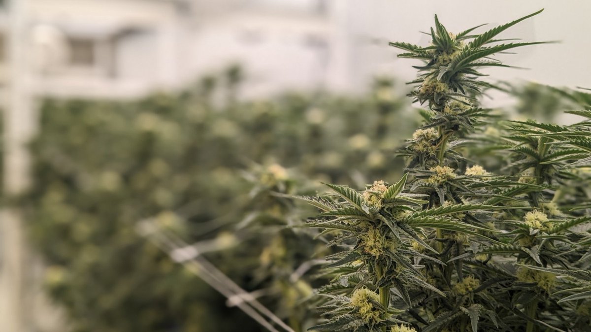 Do we even need a caption?