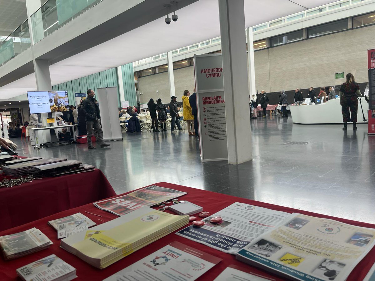 Jo Galazka tweet media