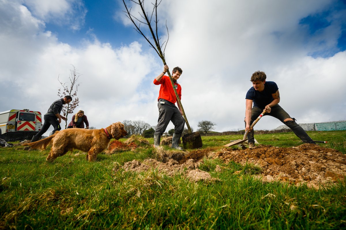 England's Community Forests tweet media