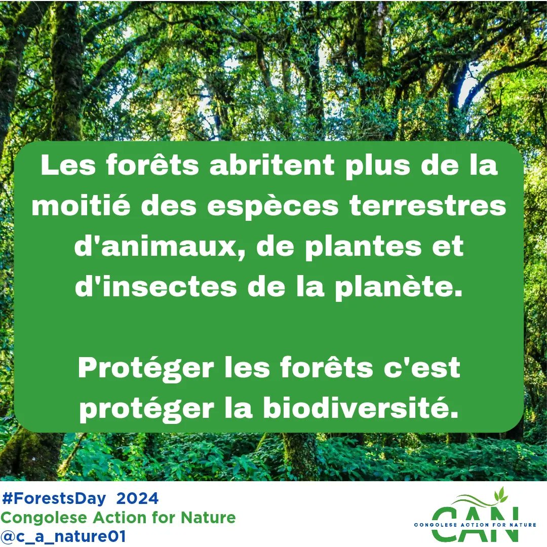 Les forêts abritent plus de la moitié des espèces terrestres d'animaux, de plantes et d'insectes de la planète. 

Protéger la forêt c'est protéger la biodiversité. 
#ForestsDay  @UNEP
#CongoleseAction4Nature