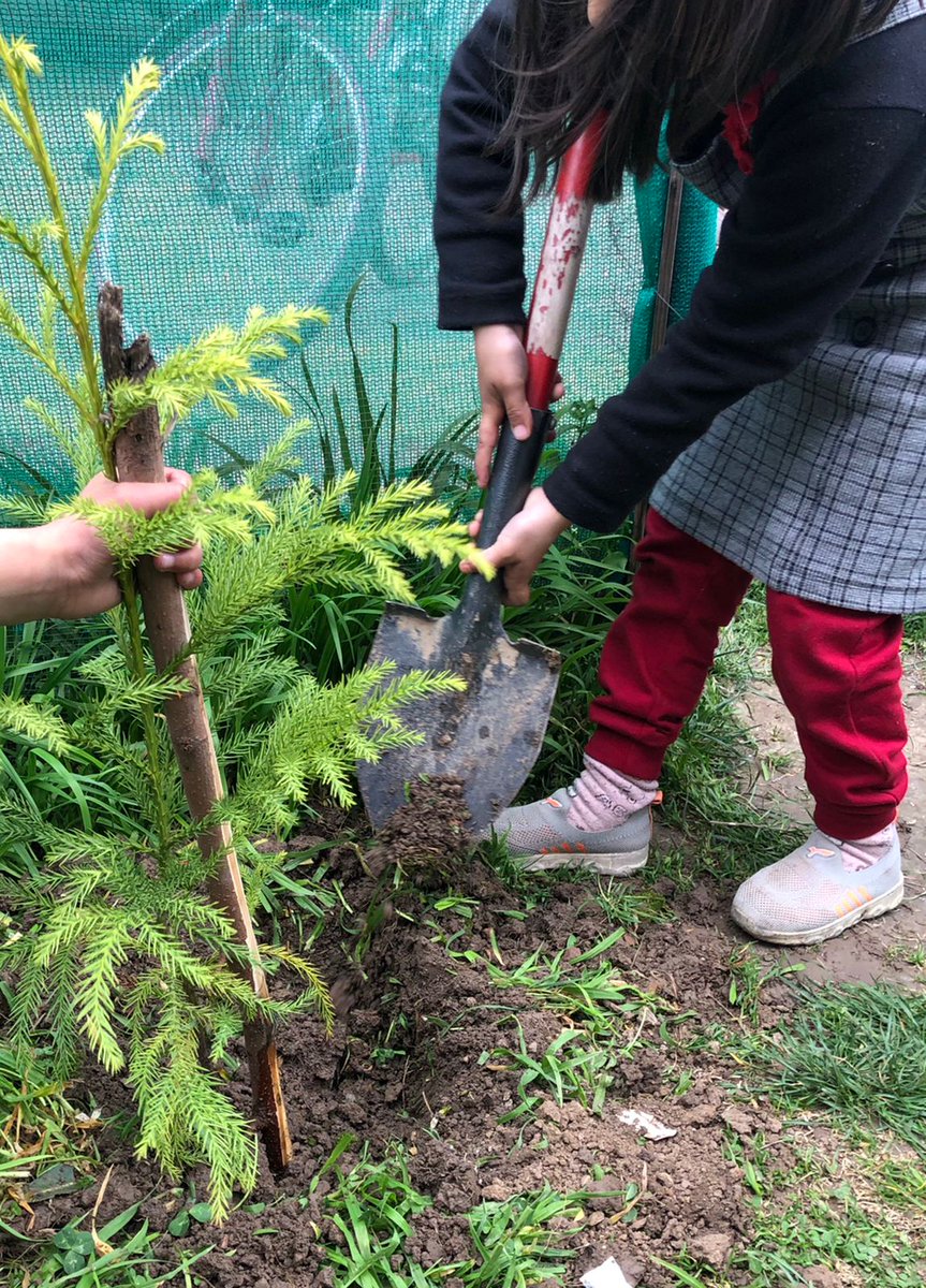 FaheemFilza's tweet photo. T3/2024: On #InternationalDayofForests, Let's acknowledge the essential role that #Forests play in supporting life on our #planet. 🌳 Let's join hands to celebrate #WorldForestDay by planting a tree, or even more! 
#InternationalDayOfForest.
#IntlForestDay https://t.co/UKrOcwt9bz