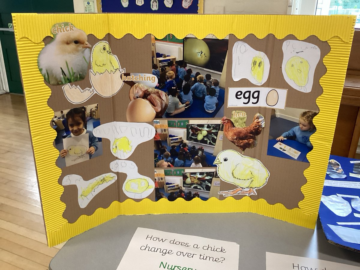 St_StephensPri's tweet photo. British Science Week!

Children from across school celebrated British Science Week last week and on Tuesday, parents took time to celebrate the presentations the children made of the experiments they carried out!

#britishscienceweek 
@ogdentrust @pstt_whyhow @Psqm_HQ 

(1/3) https://t.co/nw3PQ4EDuR