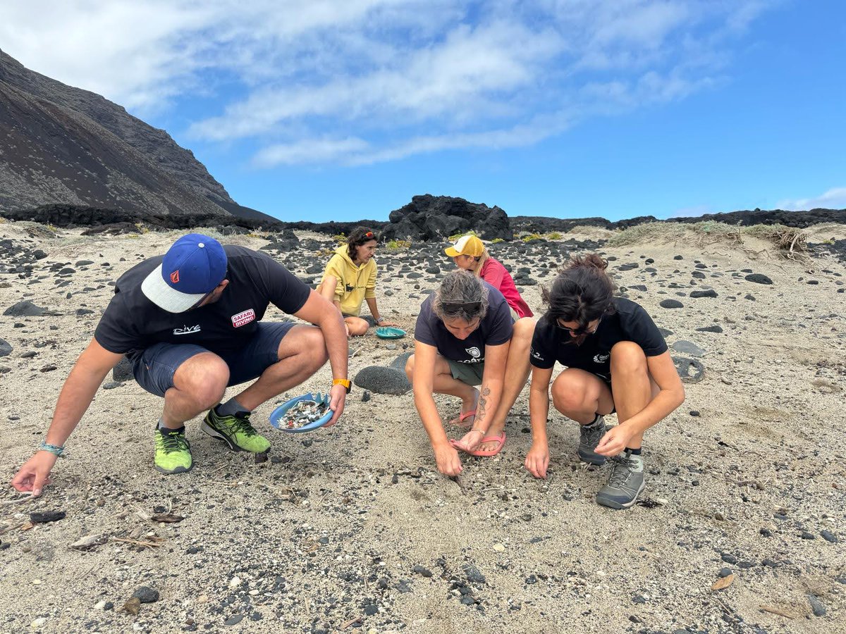 ecoareas's tweet photo. 🦅El pasado fin de semana tuvieron lugar la jornadas ornitológicas EXPLORANDO EL MUNDO DE LAS AVES, en la Ecoárea de Las Puntas, en la isla de El Hierro.
#ecoáreasmardetodos #turismosostenible #explorandoelmundodelasaves #birdwatching #SEO #LaFrontera #TransHierro #tokinatumtum https://t.co/56oFaqqs4c