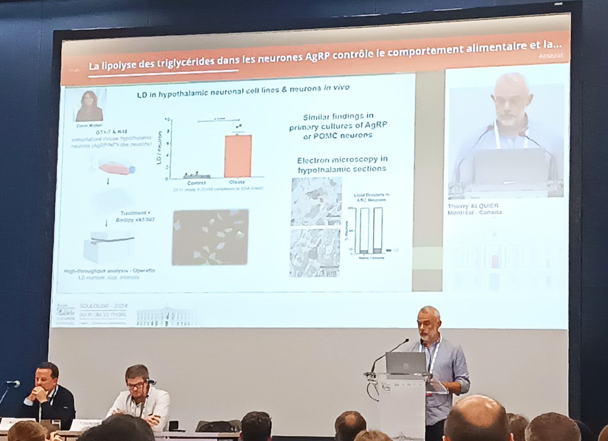 GuiWalther's tweet photo. Très belle présentation de @AlquierThierry sur le rôle de la lipolyse des triglycérides dans les neurones AgRP dans le comportement alimentaire et la balance énergétique lors du congrès @SFDiabete https://t.co/WksiFZvKs5