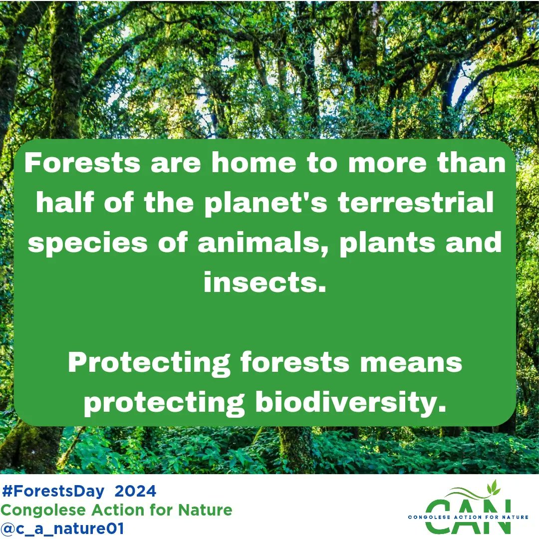 Forests are home to more than half the world's terrestrial species of animals, plants and insects.
Protecting forests means protecting biodiversity.
#ForestsDay  @UNEP
#CongoleseAction4Nature