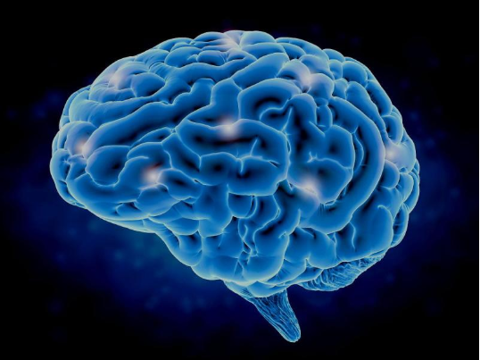 For brain injury awareness month, medical negligence solicitor Pam Westwood discusses the consequences of sustaining a subtle brain injury. Although patients may have no outward signs of physical disability, the impact can still be life-changing.
seriousinjury.shoosmiths.com/news/Brain-inj…