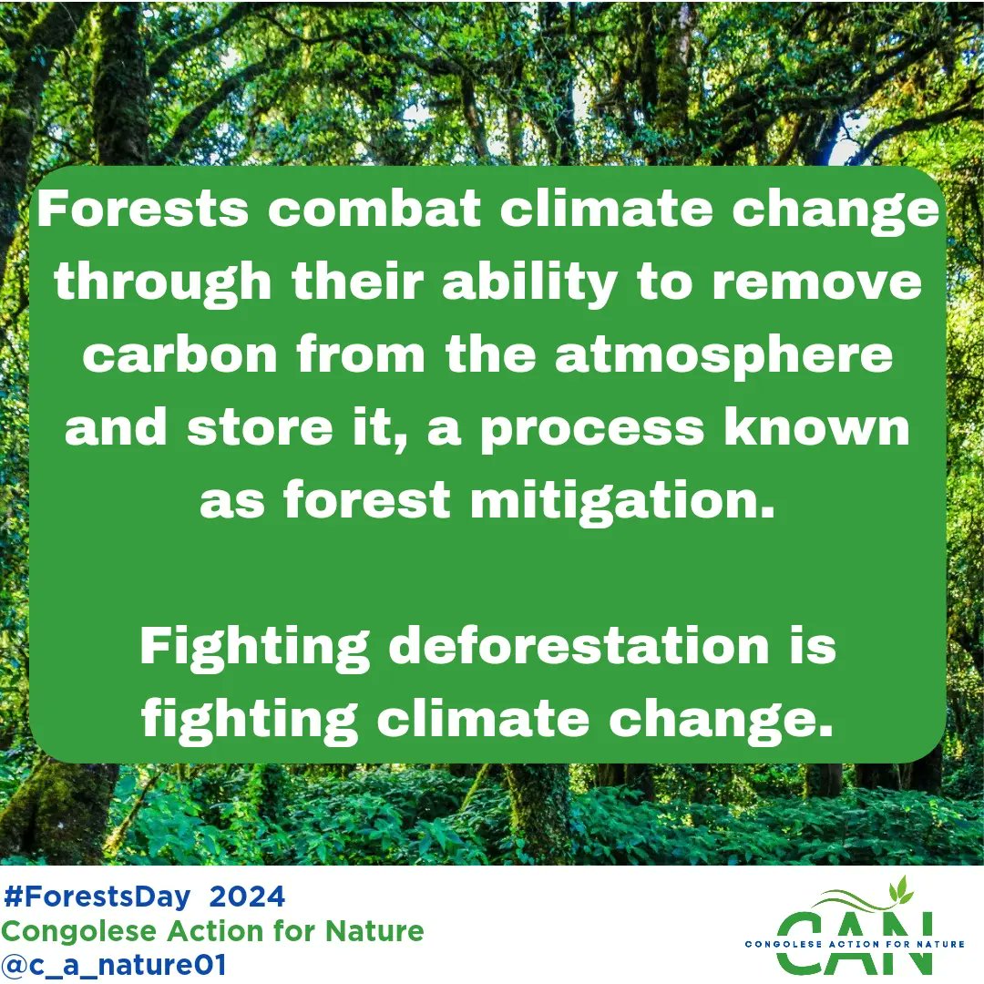 Forests combat climate change through their ability to remove carbon from the atmosphere and store it, a process known as forest mitigation.

Fighting deforestation means fighting climate change.
#ForestsDay  @UNEP
#CongoleseAction4Nature