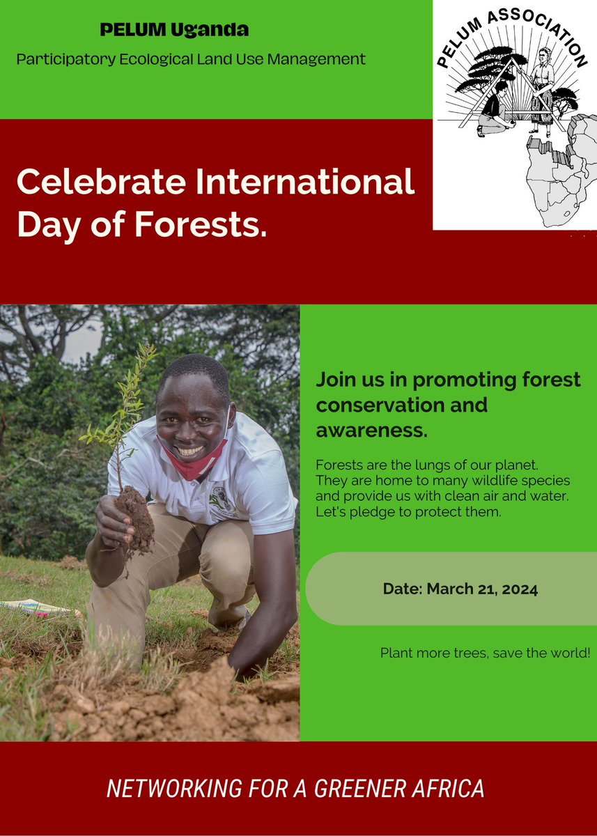 International day of Forests!!! Join us in promoting forest conservation and awareness!! under the theme 'Forests and Innovation: New Solutions for a Better World'. #ForestDay2024 @AdemAndrew @CIFOR_ICRAF @WordForest @KcoaKhea @CefrohtUg @CIDIUganda @unyfa1 @RegenerateAfri