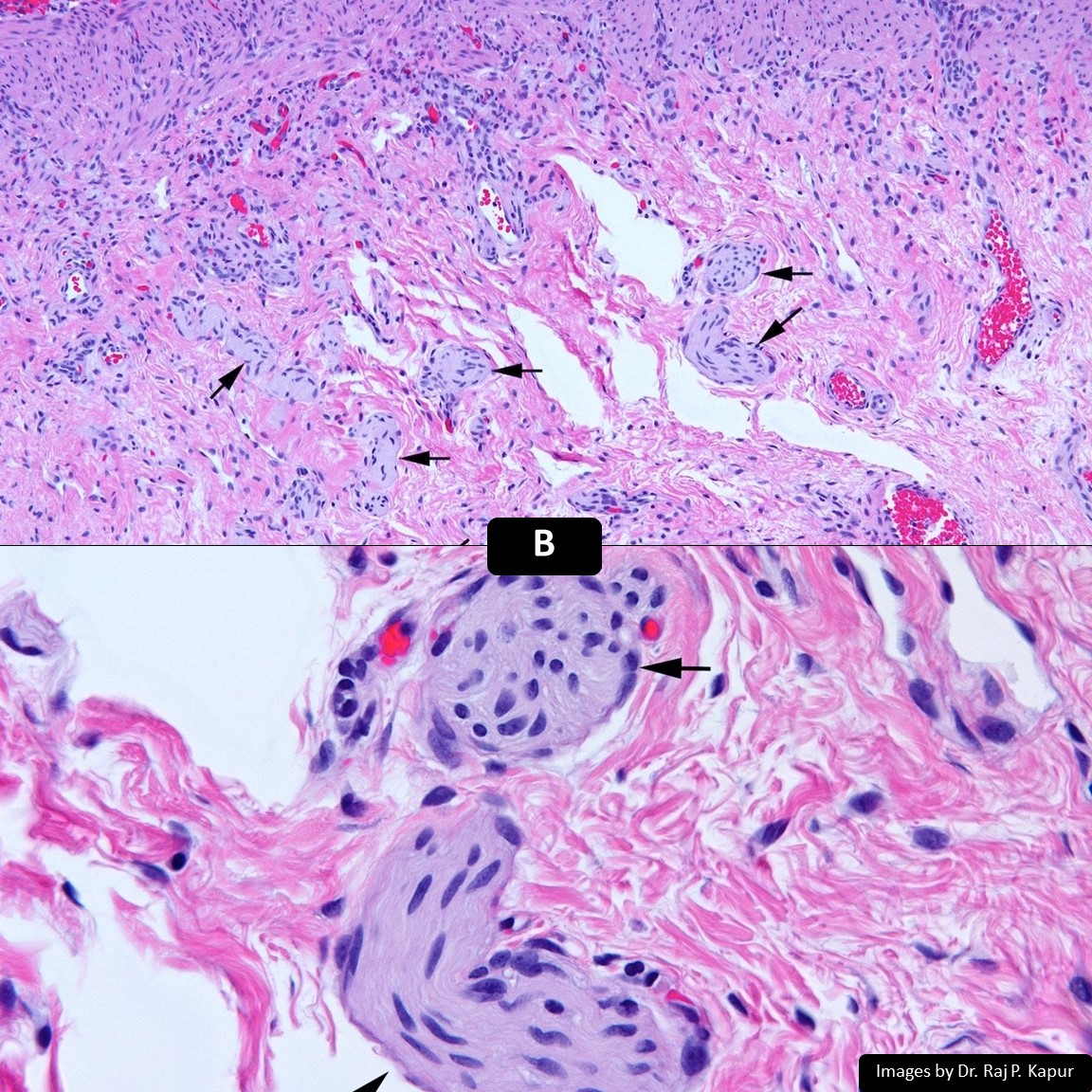 DrCycloPath tweet picture