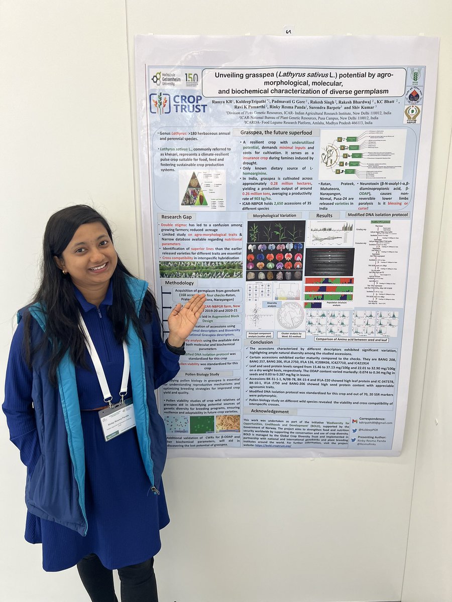 Saminho (@agentfortynine) on Twitter photo Grass pea, the future superfood: <a href="/ResmaRinky/">Rinky Resma Panda</a> presents the potentials of grass pea with an insightful poster at the German Plant Breeding conference 2024 <a href="/GPZconference24/">GPZ conference 2024 in Geisenheim</a> in Geisenheim. #GPZ2024 Grass pea, the future superfood: <a href="/ResmaRinky/">Rinky Resma Panda</a> presents the potentials of grass pea with an insightful poster at the German Plant Breeding conference 2024 <a href="/GPZconference24/">GPZ conference 2024 in Geisenheim</a> in Geisenheim. #GPZ2024