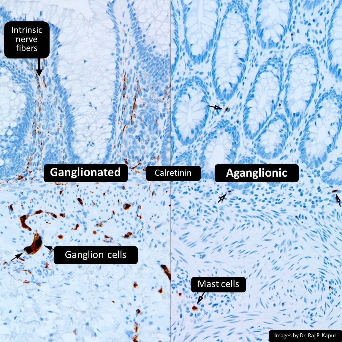 DrCycloPath tweet picture