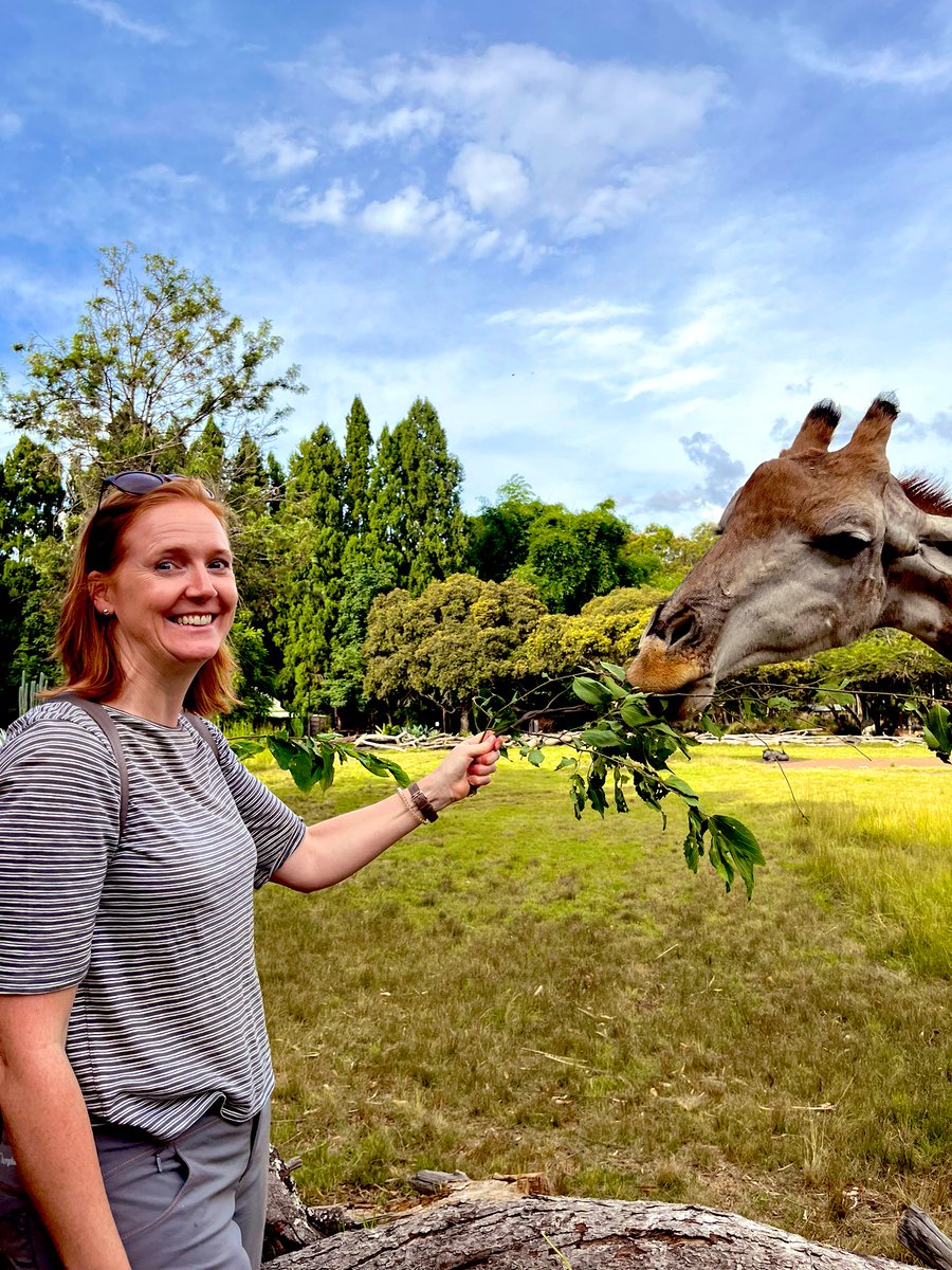 Sad to be leaving #Harare today, I’ll miss the blue skies ☀️, but most of all my new friends from @PGHZIM and @ThruZim - Exciting collaborations ahead with Pamela, Charlotte, and @TrustZaranyika developing #geriatrics healthcare and teaching 🇿🇼🥰💕 All thanks to @celiagregson