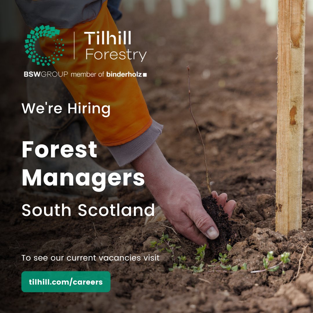 We have exciting opportunities to join Tilhill Forestry and be a key member of our South Scotland Regional team in the role of Forest Manager or Senior Forest Manager. For more information or to apply, visit our website: tilhill.com/careers/