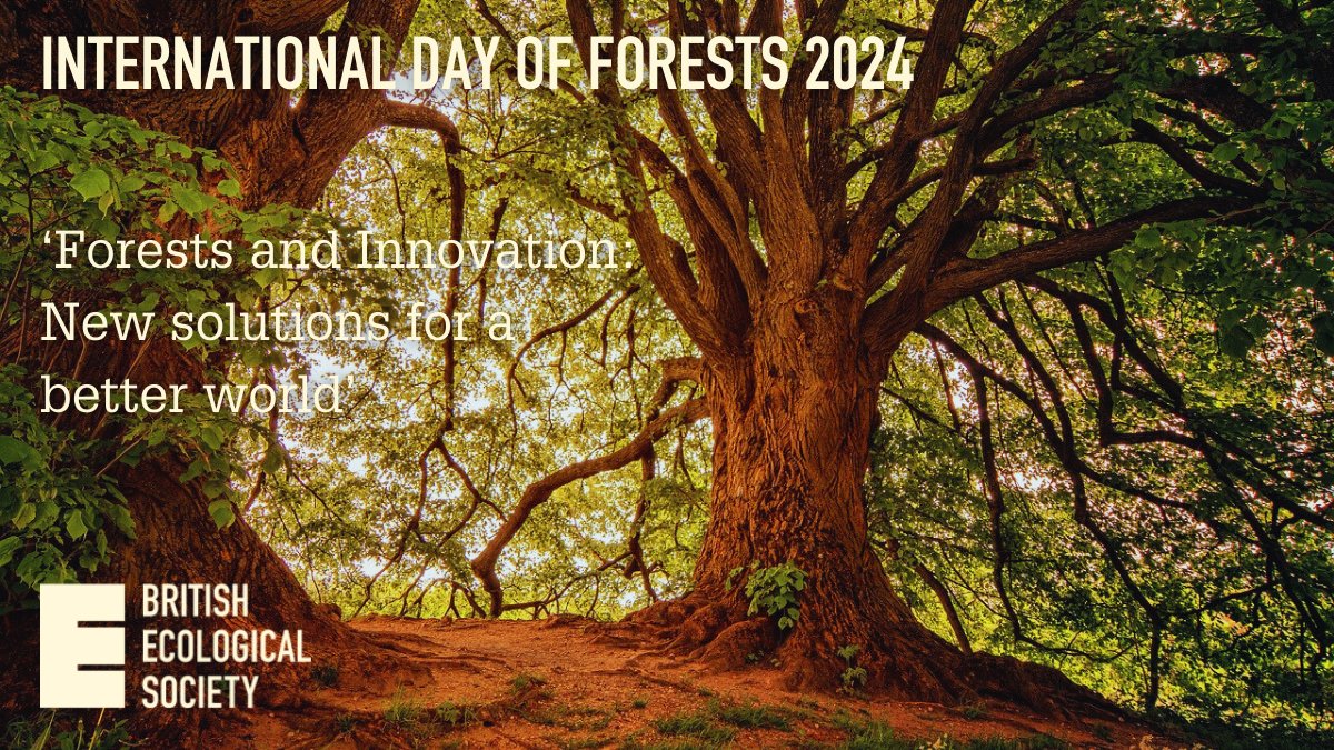 Today is #InternationalDayofForests, and this year's theme is forests and innovation!🌳🔍 To celebrate this, we're taking a deeper look at what forests do, the risks they face, and how new innovations can help. ✨ britishecologicalsociety.org/international-…