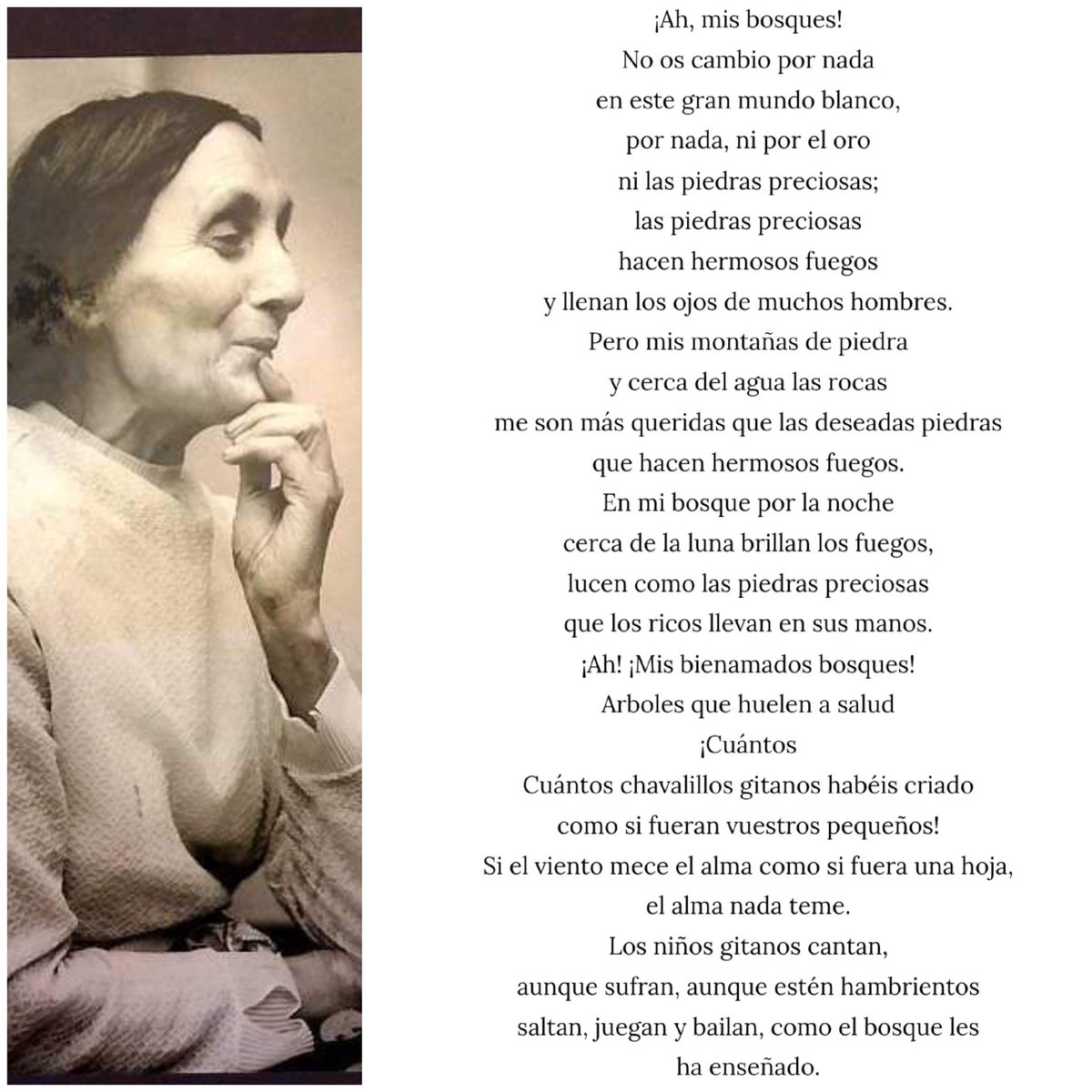 ¡Ah, mis bosques!
No os cambio por nada
en este gran mundo blanco, ni por el oro
ni piedras preciosas.
Los fuegos lucen como las piedras preciosas de los ricos.
CANCIÓN DE LOS BOSQUES
(Papusza. Bonislawa Waja. La 1a poeta gitana publicada.)
#DiaMundialDeLaPoesia #diadelosbosques