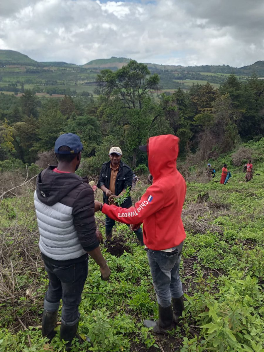 leonaFoundation's tweet photo. Happy International Day of Forests!
At Leona Foundation, Climate Action is one of our pillars- we're celebrating by growing the future, one tree at a time. #ForestsForLife #Restoration Champions @WorldResources @onetreeplanted https://t.co/BazUPCgBoD