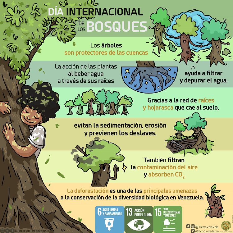 #21Mar Trabajamos por el desarrollo sustentable y la calidad de vida. Hoy es el Día de los Bosques y resaltamos su importancia en el logro de los Objetivos de Desarrollo Sostenible y la conservación de la diversidad biológica en Venezuela #SomosBiodiversidad