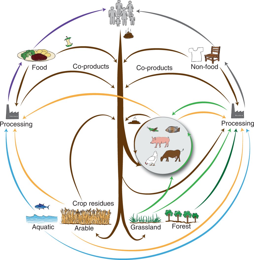 #JobAlert #irishbioeconomy 🌲 🚜 👩‍🌾 📈 Still time to apply for this #bioeconomy role as a Senior Researcher in Sustainable Biomass Modelling and Forecasting within our @CircBio team at @MTU_ie and within the new @SEAI_ie #BioAssess project team. mtu.ie/vacancies/