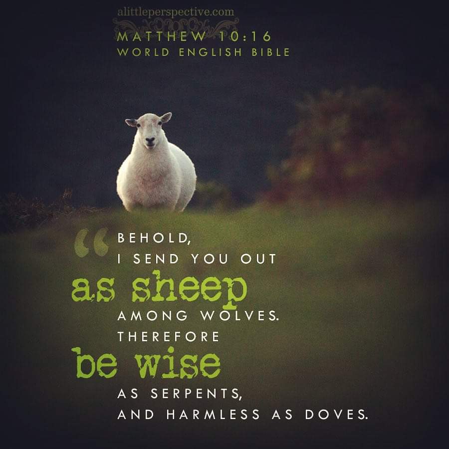 'Behold, I send you out as sheep among wolves. Therefore be wise as serpents, and harmless as doves.' 

#Matthew 10:16 #Bible #Gospels #Yeshua #Jesus #ThingsJesusSaid #VerseOfTheDay #DailyBread #Scripture #ScripturePictures #ScriptureArt 

alittleperspective.com/welcome-to-scr…