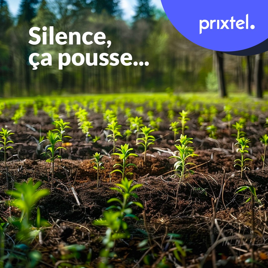 🌍 Bonne journée internationale des Forêts 2024 ! Pour proposer ses forfaits neutres en CO2, Prixtel investit depuis 2020 dans des projets forestiers🌲 labellisés Bas-Carbone. En France, bien entendu ! Prixtel, opérateur engagé sans engagement 🌱 prixtel.com/decouvrir-prix…