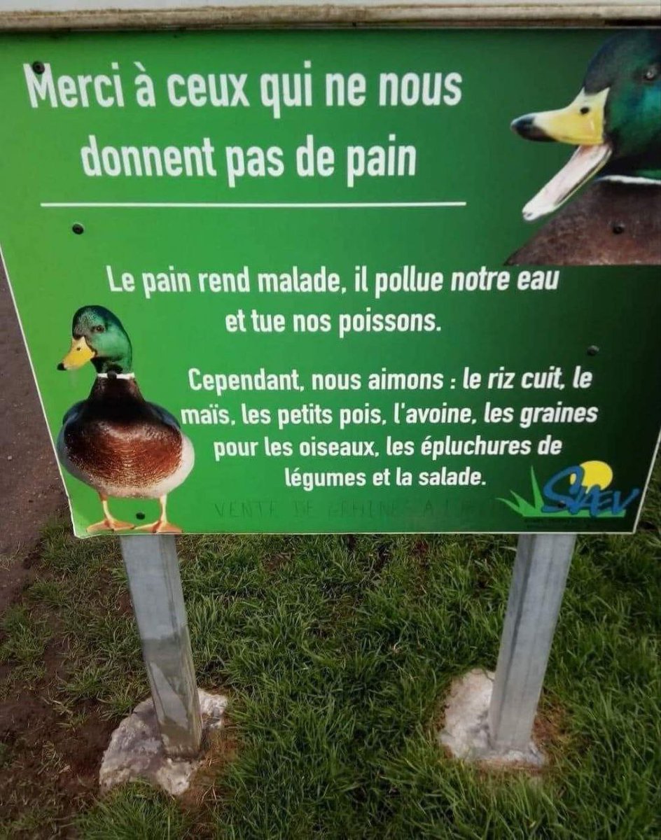 C'est toujours bon à savoir les amis !
