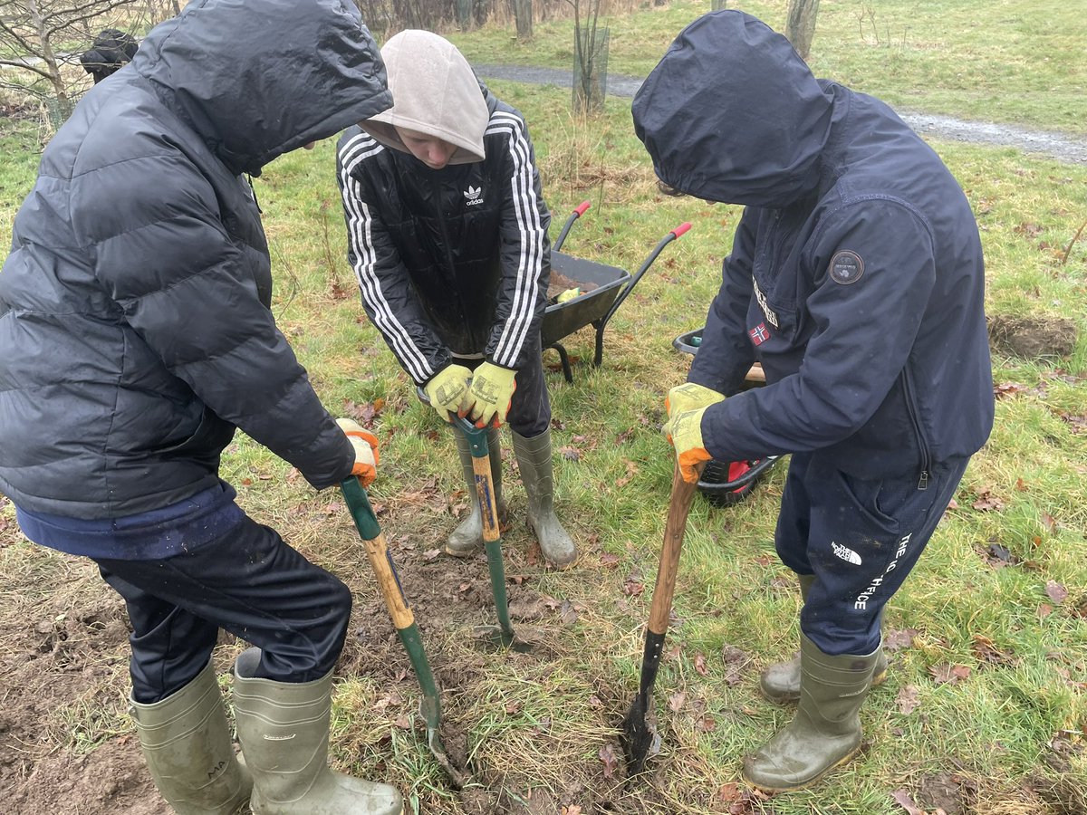 DHS P A A tweet media