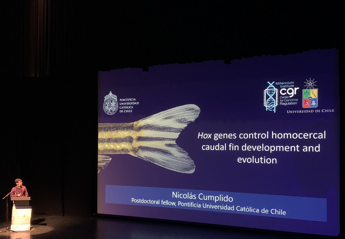 EvoDevo PanAm tweet media