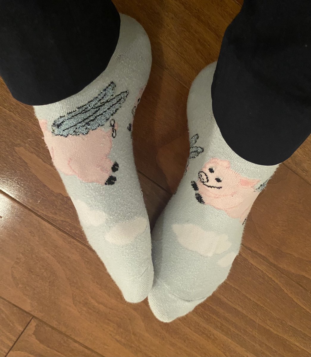 I have waited two years for this moment!  🤣.  #flyingpigslab #flyingpigssocks #iteachphysics #sph4U