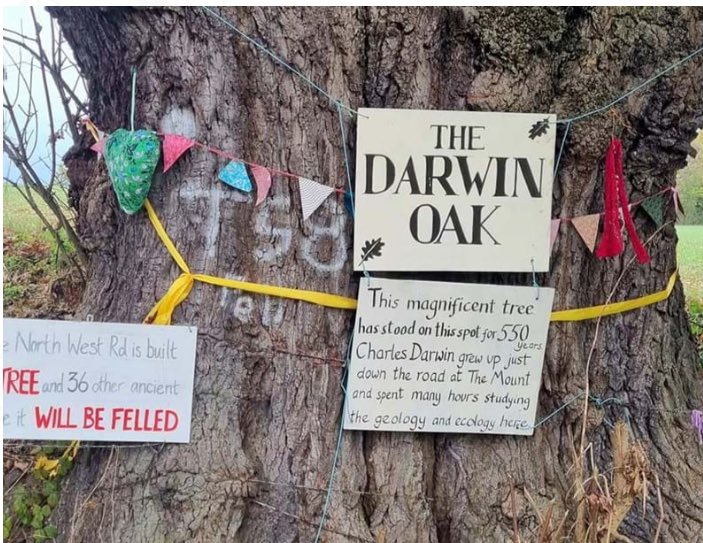 🌳Tree event, Shrewsbury, 23 March 
Come dressed as Charles Darwin and help to protect the at risk Darwin Oak.
This Saturday 2-4pm
woodlandtrust.org.uk/visiting-woods…
@WoodlandTrust <a href="/thetreehunter/">thetreehunter Rob McBride</a>