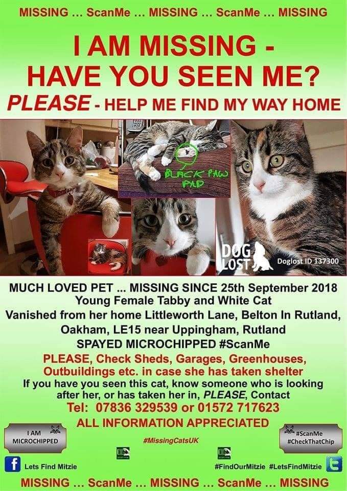 MissingCatsUK tweet media