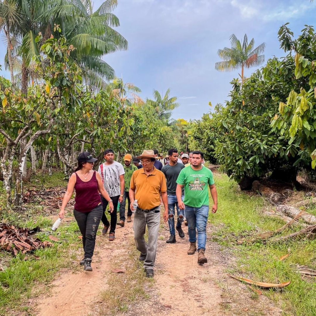 Cirad's tweet image. #JIF2024 | En Amazonie 🇧🇷, des paysans et paysannes restaurent les forêts via des pratiques agroforestières. Focus sur le projet #SustentaEInova, coordonné par le @sebrae et auquel le #Cirad par des travaux sur la restauration des terres dégradées.

👉cirad.fr/les-actualites…