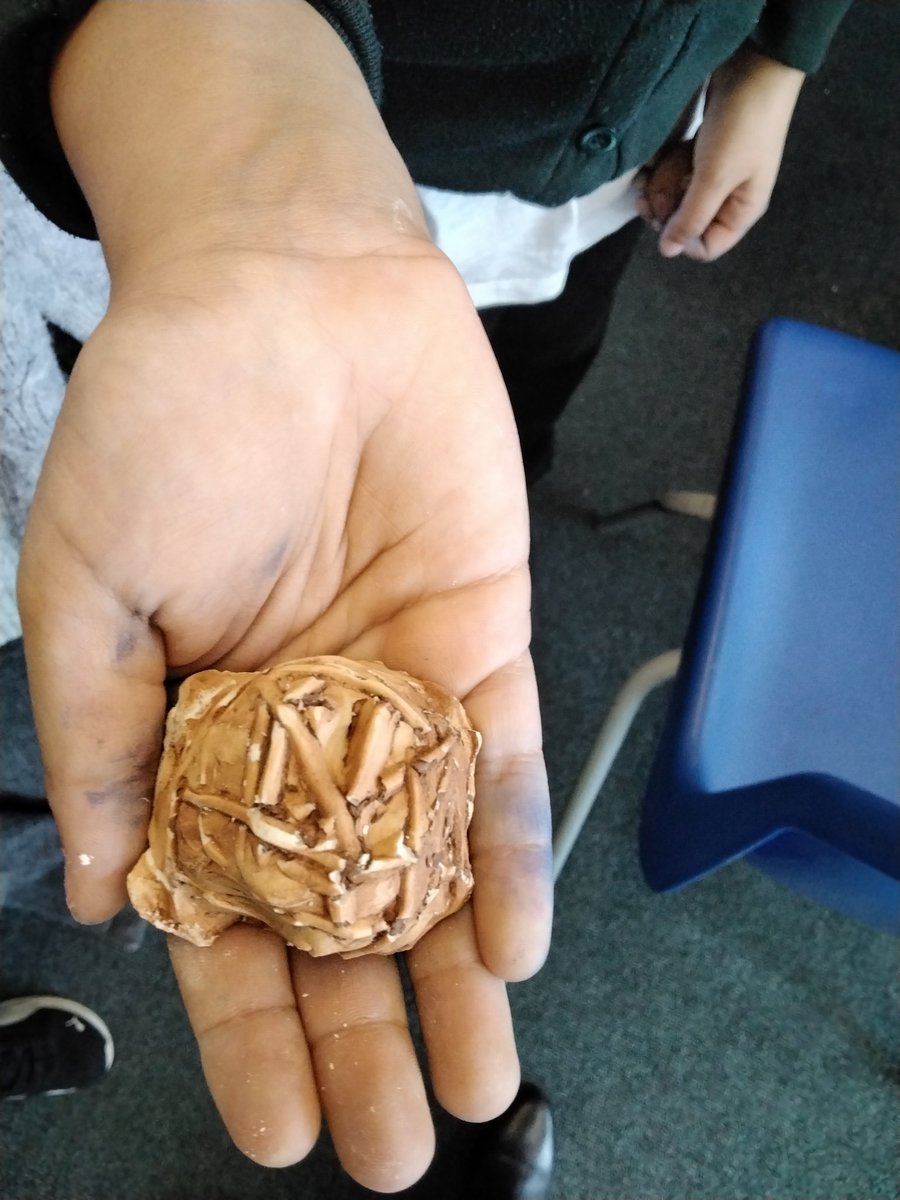 Wyndcliffe Primary School tweet media