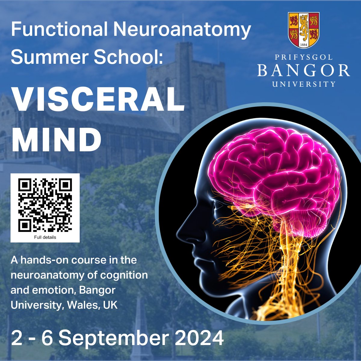 🚨Now accepting applications to #VisceralMind2024 
#FunctionalNeuroanatomy #SummerSchool
Dissection 🧠 Clinical Case Conferences 🧠 Expert Presentations 🧠
Also includes
· 6 nights’ accommodation
· Lunch, conference dinner/dance, sight-seeing
Visit: visceralmind.bangor.ac.uk
