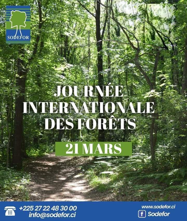 izoudine35's tweet image. Les forêts couvrent 31 % de la surface terrestre mondiale, fournissent de l&apos;air pur et de l&apos;eau, stockent de grandes quantités de carbone et abritent la majorité de l&apos;étonnante biodiversité de notre planète.
 #Sodefor
 #JusticeAlliance #Climate 
 #RéseauActionClimat #PNCC