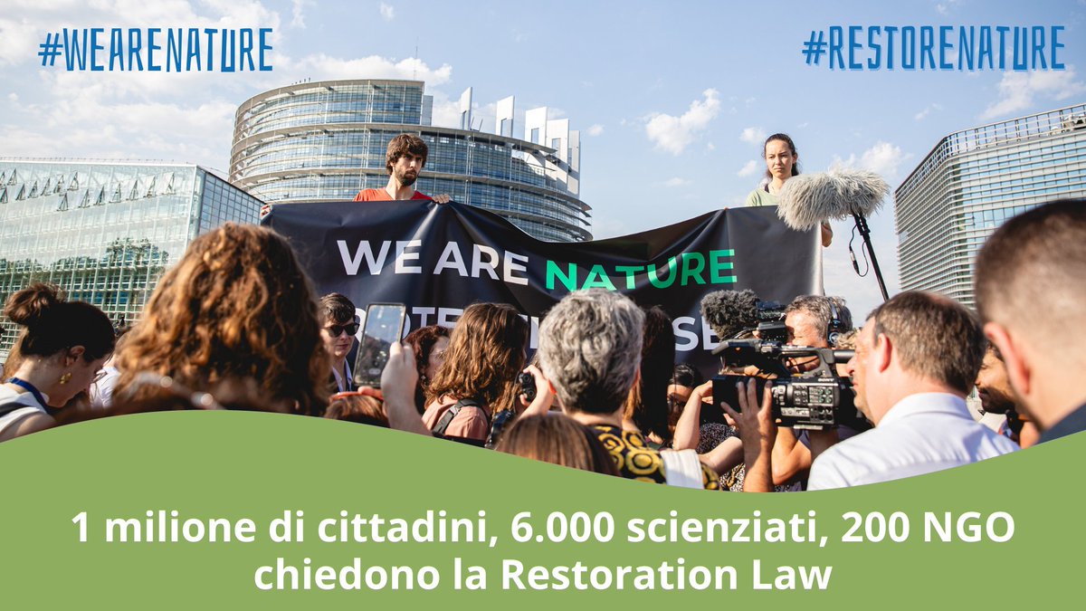 1 Milione di cittadini, 6.000 scienziati 200 organizzazioni hanno sostenuto la #RestorationLaw. Molti compromessi sono stati fatti, un accordo finale raggiunto. Ora chiediamo a @EUCouncil di siglarlo! #RestoreNature perchè #WeAreNature