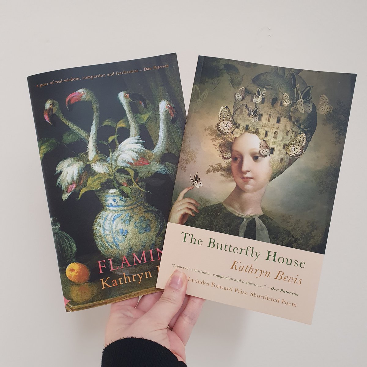 Available now: ‘The Butterfly House’ is @BevisKathryn’s highly anticipated debut collection. Described as “...an explosion of a book” by Joelle Taylor, you can order online or from your local bookshop now serenbooks.com/book/the-butte….