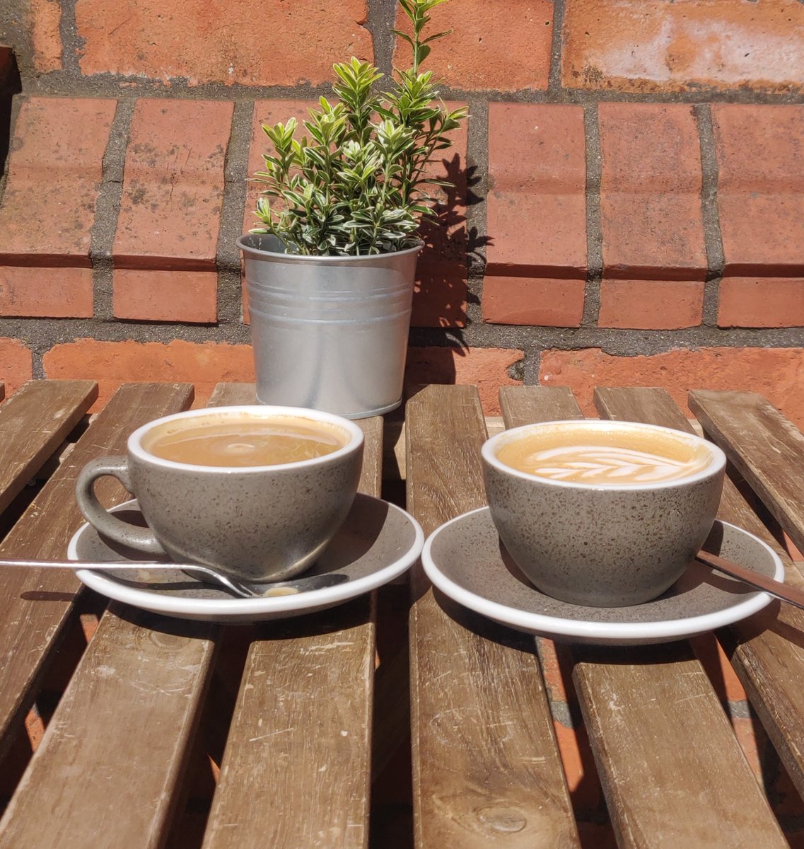 SQC Digital tweet media