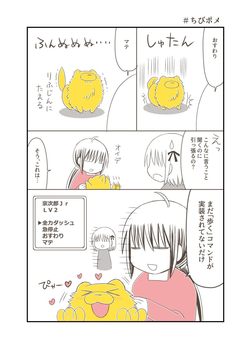 元気いっぱいのポメラニアン꒰ ՞•ﻌ•՞ ꒱
3歳過ぎたら落ち着くかと思ってたけど今日も全然こんなんでした。
歩くコマンドだけ半分実装されました。(お散歩後半のみ使用可)
#ポメラニアン #宗次郎Jr 