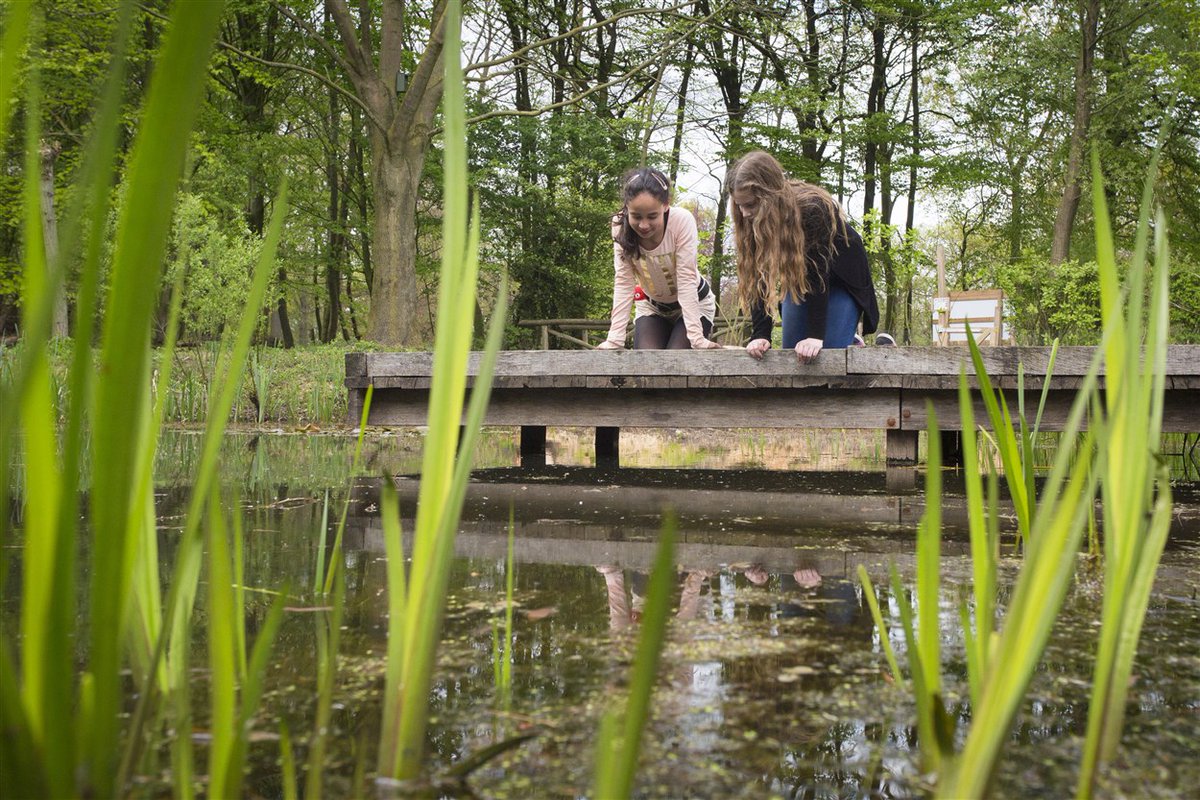 Provincie @Brabant en @SoortenNL organiseren op 8 april a.s. een symposium met als doel: in kaart brengen wat je kunt met (biodiversiteits)data in de context van de ruimtelijke ordening. Programma en aanmelden: soortennl.nl/symposium160na…