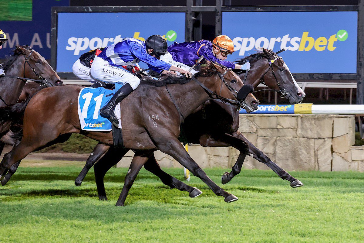 domainthorough's tweet photo. 🥇WINNER!🥇

SALSITA was too strong for his rivals tonight at Pakenham Racing Club!

It was a great training performance by Sparta Racing - D and E Browne and an excellent ride by Blake Shinn. 

Congratulations to all of his fantastic owners! 

Onwards &amp; Upwards

#racewithdomain https://t.co/FXB03CsMqE