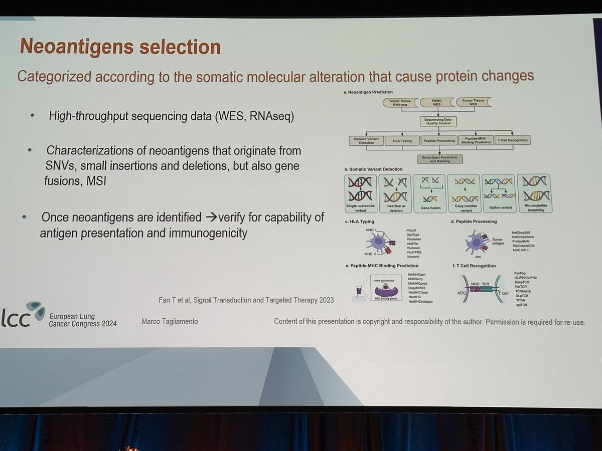 g_mountzios's tweet photo. #ELCC24  @M_Tagliamento excellent discussion on cancer vaccines in #NSCLC 

➡️Cell-based vaccines ➖
➡️ Peptide vaccines:Atalante-1 in 2L pos for pts who responded to 1L IO
➡️DNA/RNA vaccines ongoing
➡️Oncogenic driver vaccines KRAS
➡️ Neoantigen selection!
#ESMOAmbassadors #some https://t.co/56mpUrLdWc