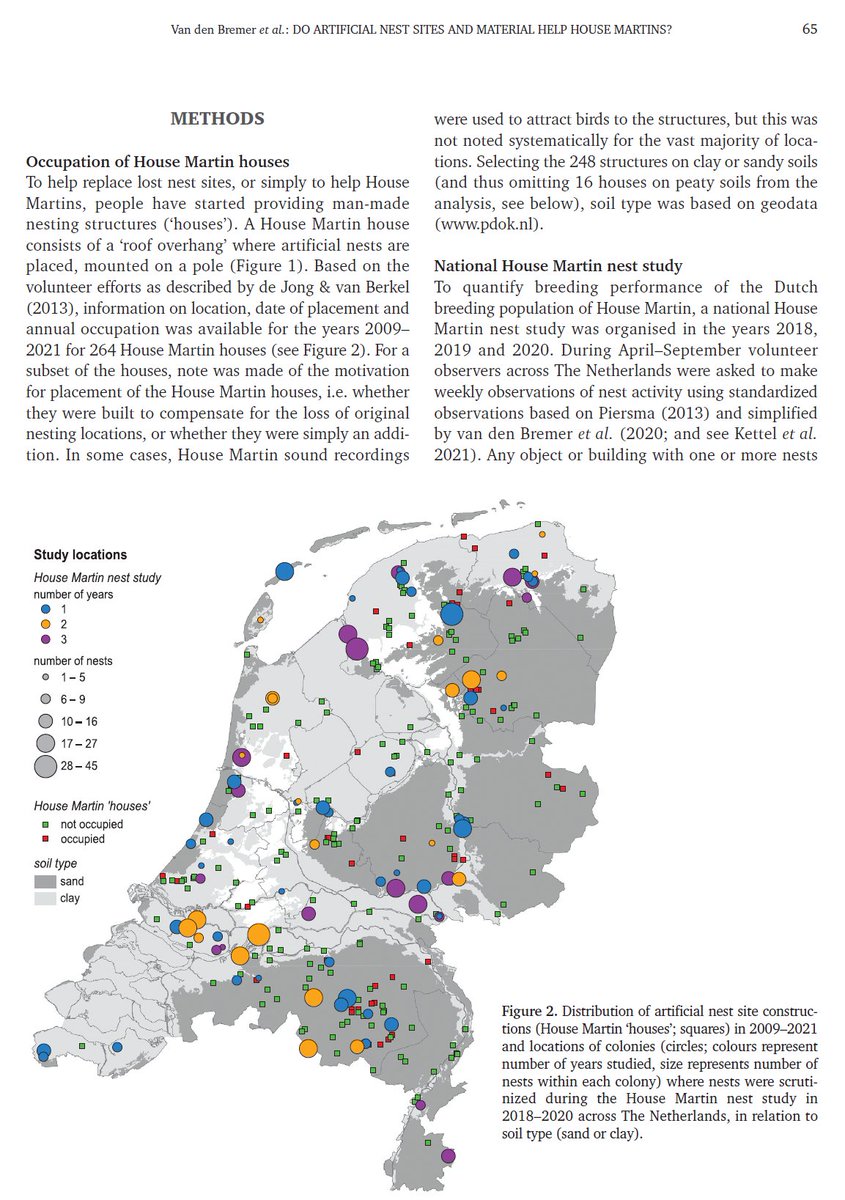 NEW in @ARDEA_journal on Dutch HOUSE #MARTINS Although House Martin populations can be helped with nest sites & artificial nests, a comprehensive evaluation of limitations on the population warrants scrutiny of other factors, such as food, i.e. supply of aerial insects. @Sovon