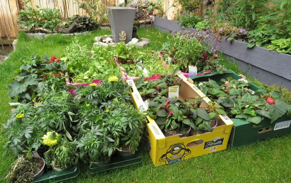 Get the kettle on &amp; check out Carbrain's annual update - it's full of brilliant reflections &amp; updates:

🔹 Community gardening &amp; food growing
🔹 Delivering radio skills classes
🔹 Development of community events group

...and more!

Read here for more: bit.ly/3PvYRjl