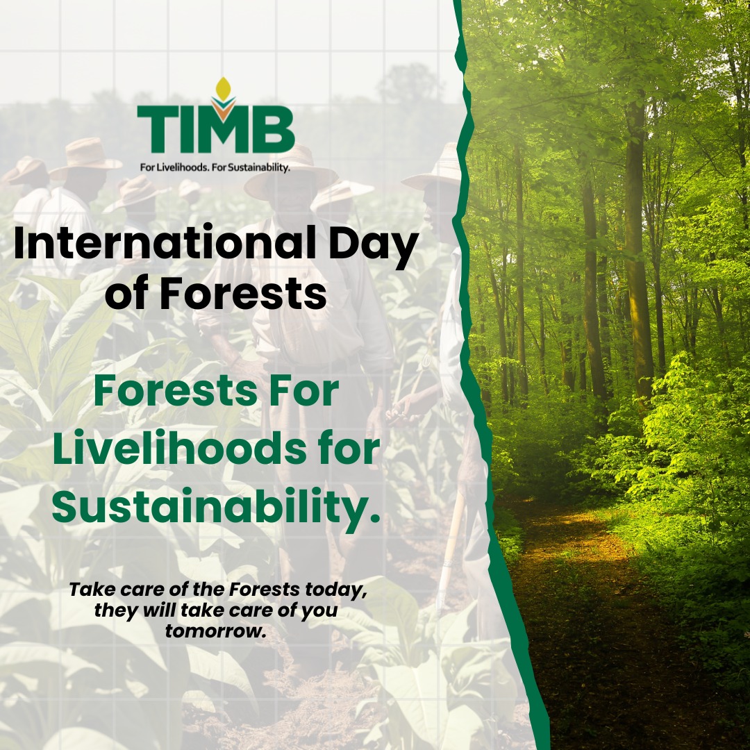 21 March 2024, International Day of Forests.

#forlivelihoods  #forsustainability