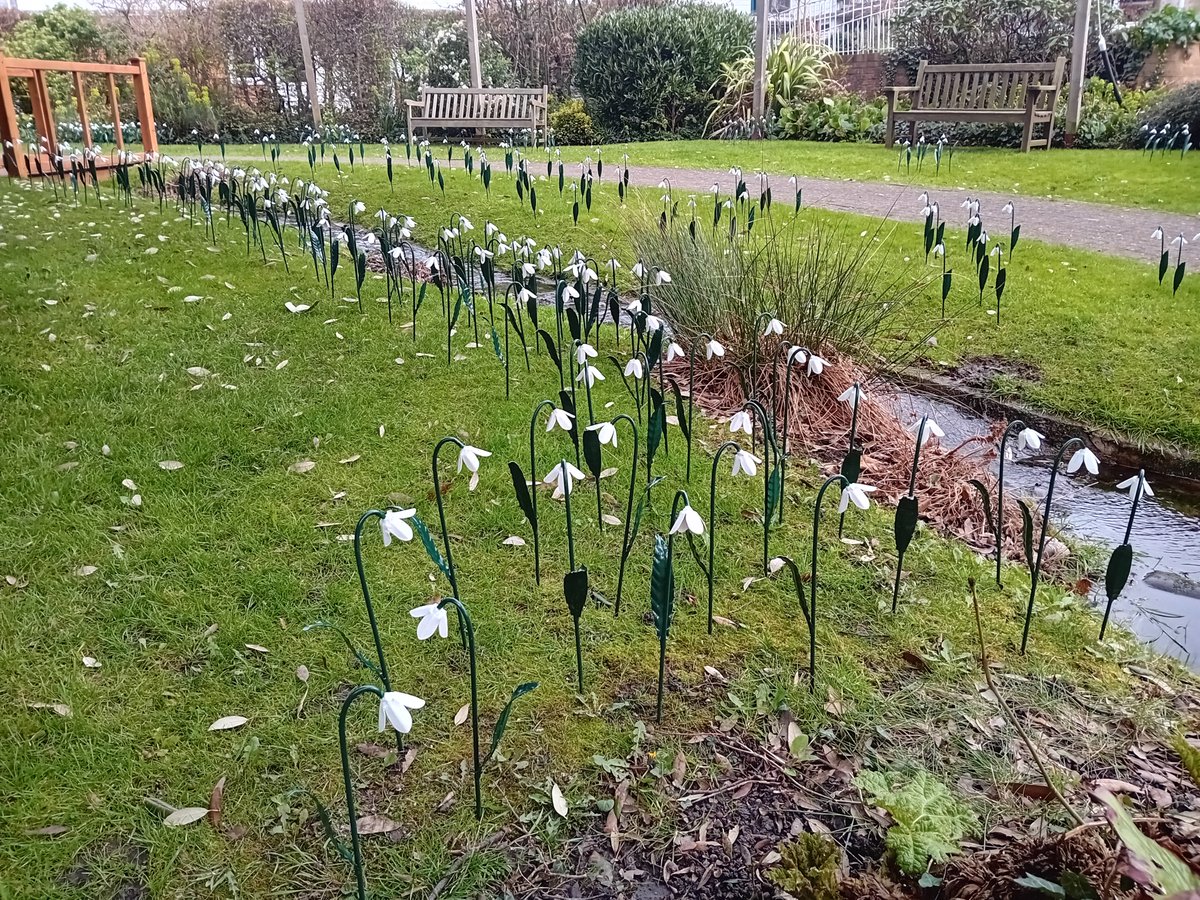 NicholasRWhite's tweet photo. Just sharing a couple more photos of the stunning Snowdrop installation at St Christopher's @StChrisHospice ... https://t.co/zE3dFx0VAG