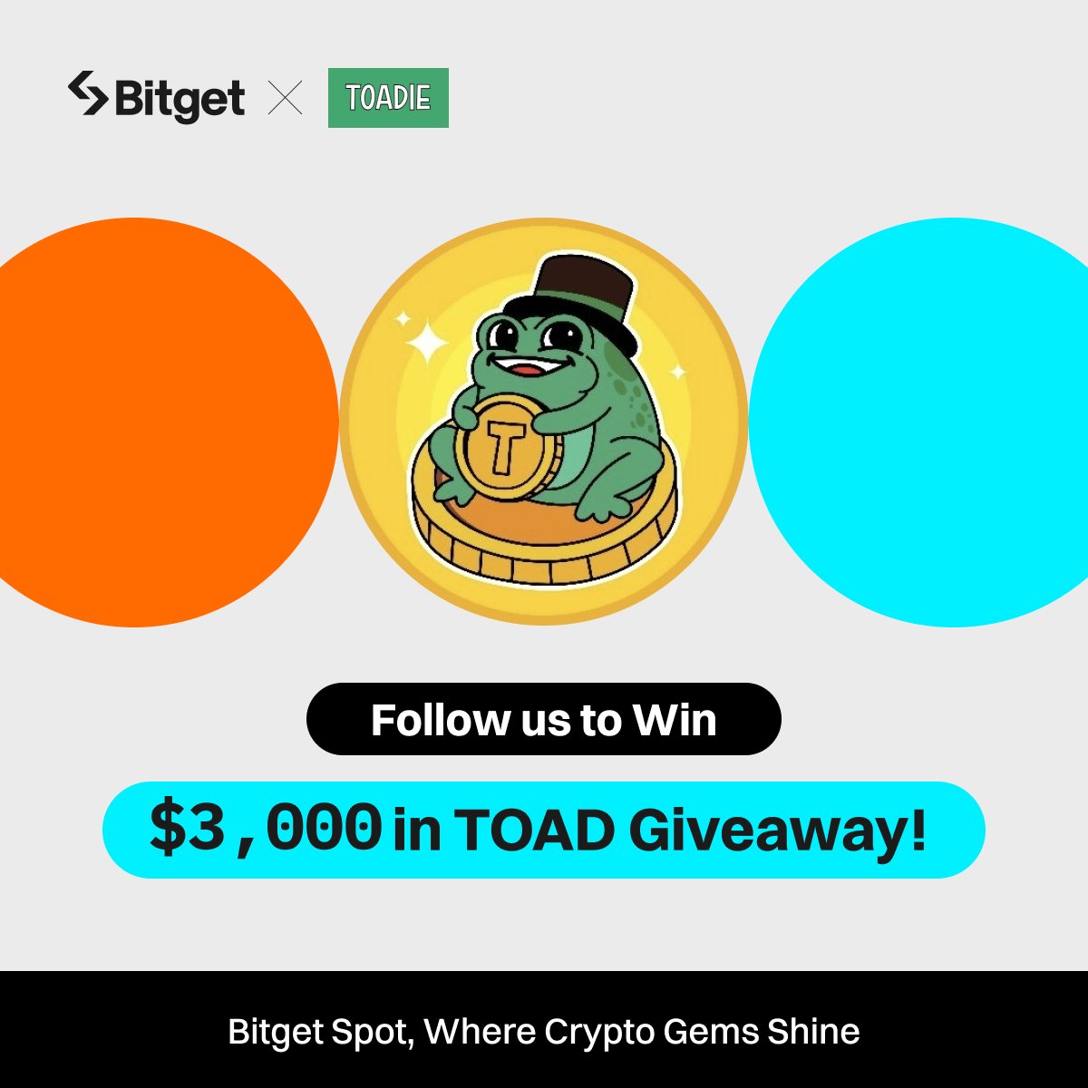 bitget's tweet photo. Join the #Bitget x $TOAD Giveaway! 

💰 $3,000 worth of $TOAD (60 winners) 

1️⃣ Follow @bitgetglobal @toadieco 
2⃣ Repost with #TOADxBitget & tag your friends 
3⃣ Fill out the form: https://t.co/rYufRM5e1M